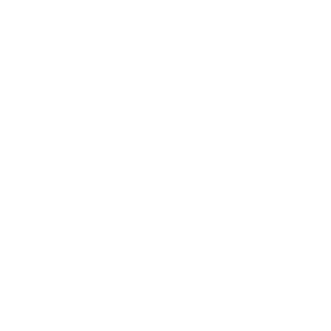 V4 Company